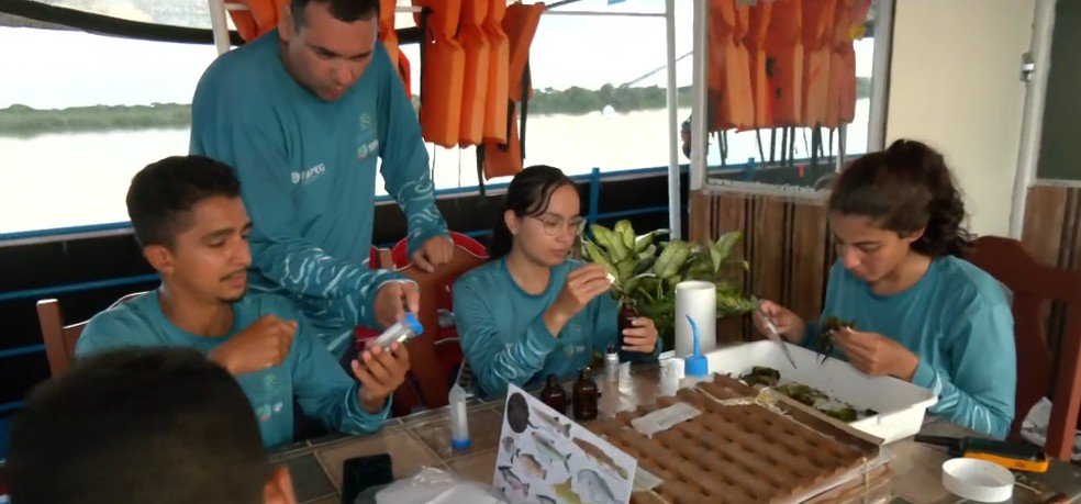 Pesquisadores chegam a passar quase 30 dias em 'barco hotel' durante estudos no Rio Araguaia — Foto: Reprodução/TV Globo