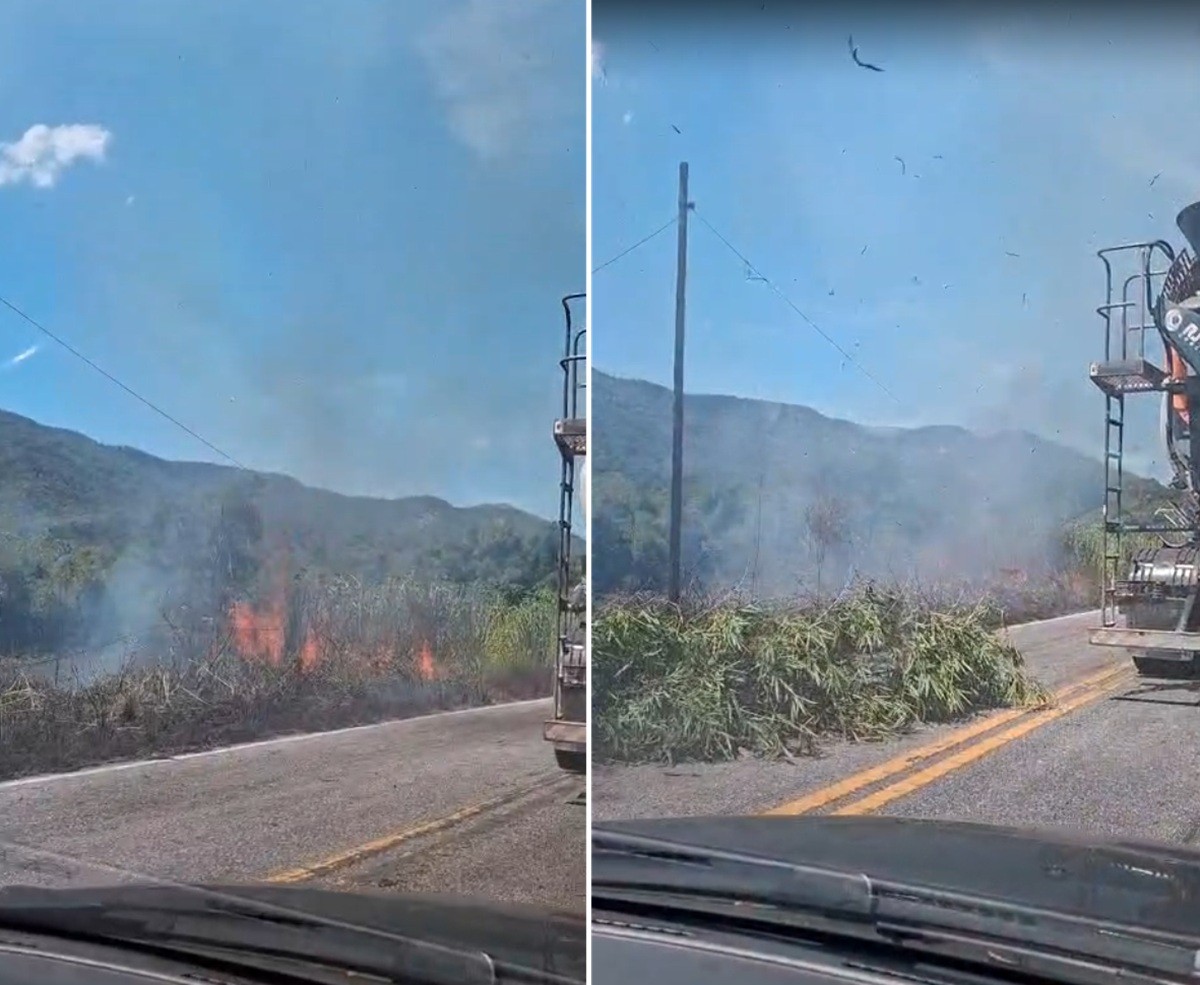 Bambuzal as margens da RJ-106 pega fogo e deixa rodovia em meia-pista em Saquarema