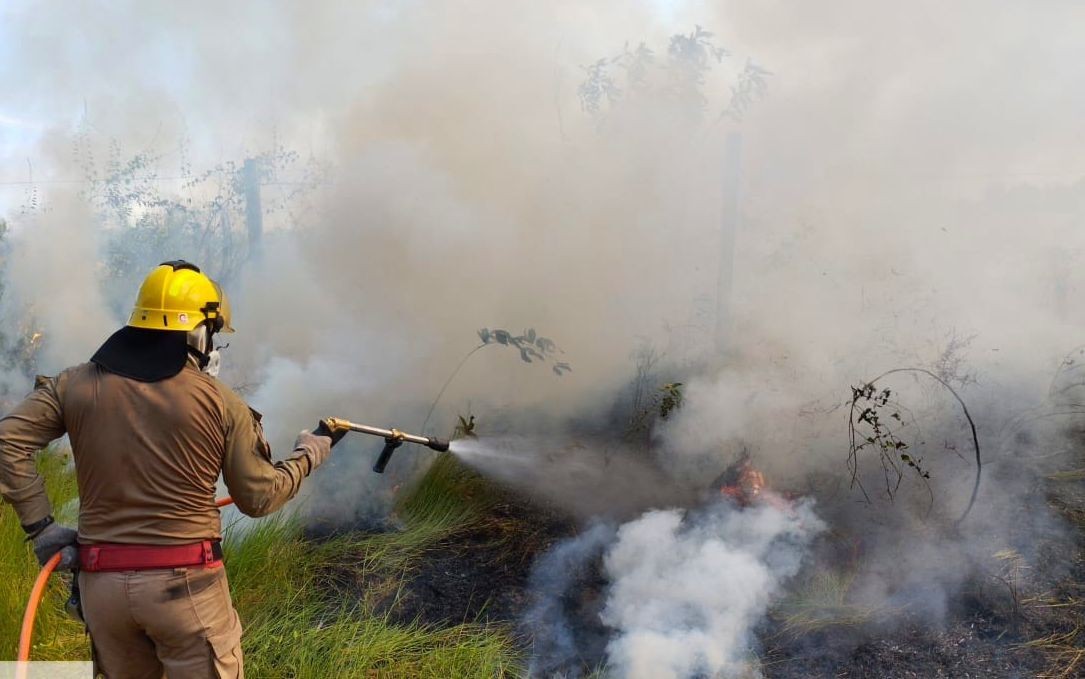 Amazonas registra recorde de queimadas para o mês de julho em 26 anos