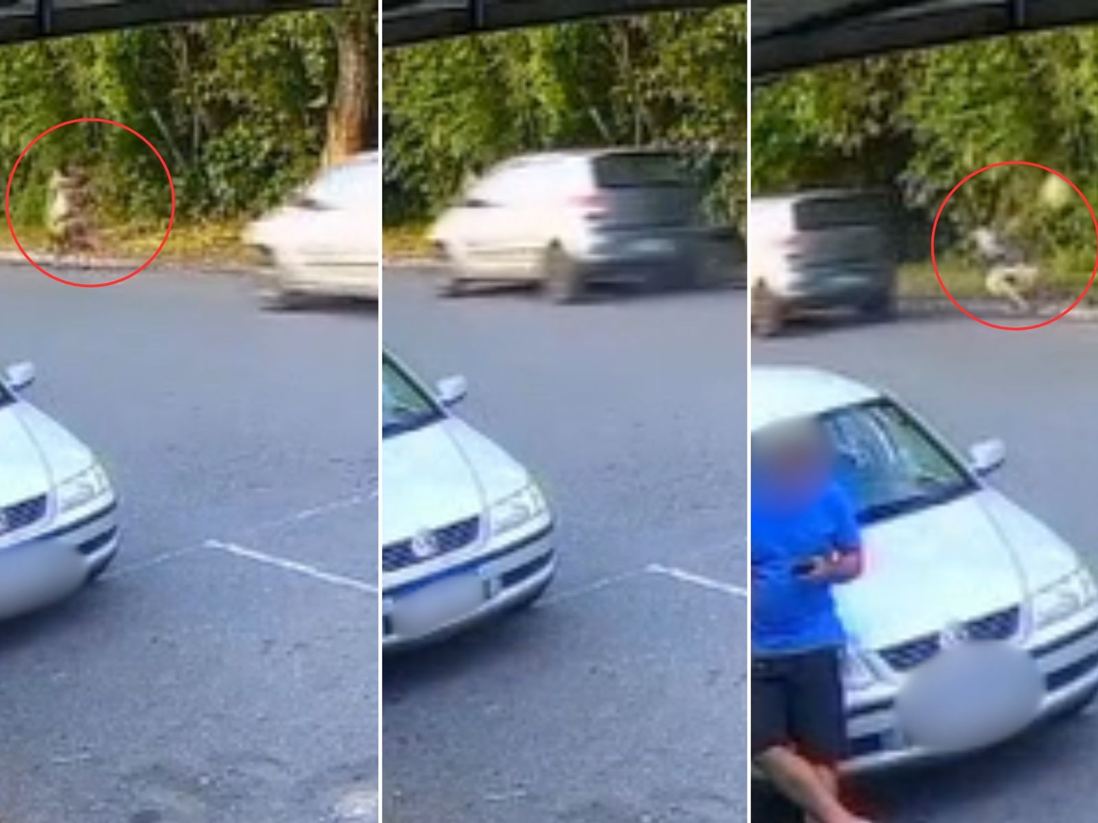 Idosa de 84 anos é atropelada por motorista nu e embriagado no interior de SP; VÍDEO