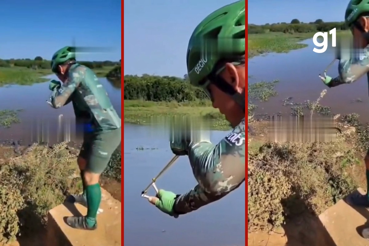 VÍDEO: ciclistas jogam pedras com estilingue em jacarés no Pantanal de MT
