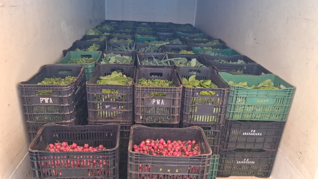 Divisão de Agricultura fortalece produção familiar e desenvolvimento rural