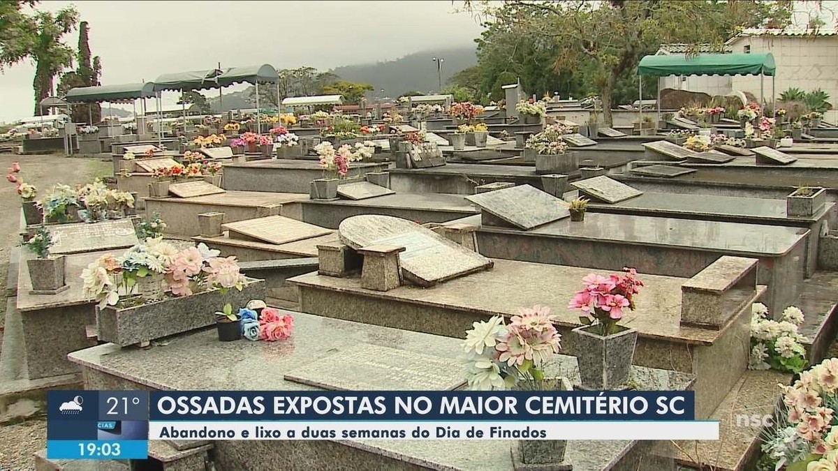 G1 - Cemitério de gatos em SC esconde história de atriz, da fama à clausura  - notícias em Santa Catarina