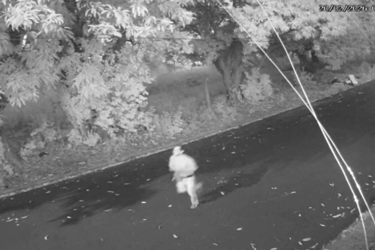 Idoso é agredido com marteladas na cabeça dentro de casa em Mogi Mirim