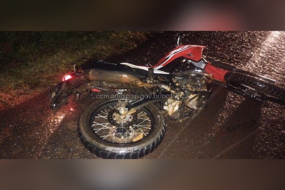 Jovem pilotava uma motocicleta quando atingiu um animal bovino na pista — Foto: Reprodução/Artesp