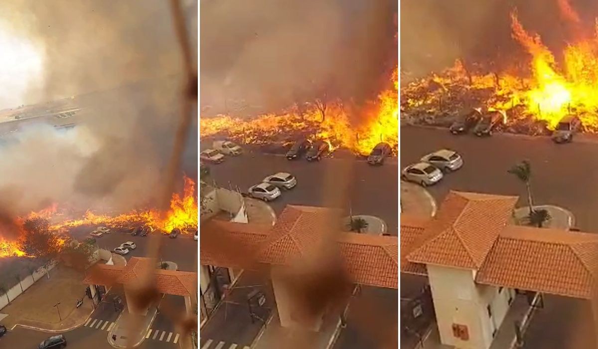 VÍDEO: Incêndio em área de mata avança e atinge carros em bairro de Santa Bárbara d'Oeste