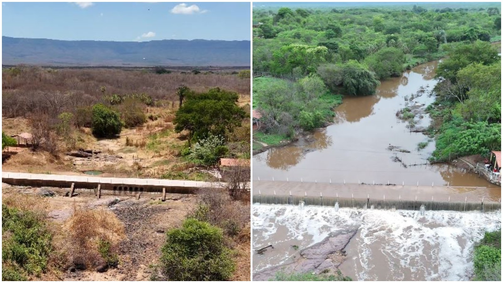 Chegada da chuva gera mudança radical na paisagem do sertão; vídeo mostra antes e depois