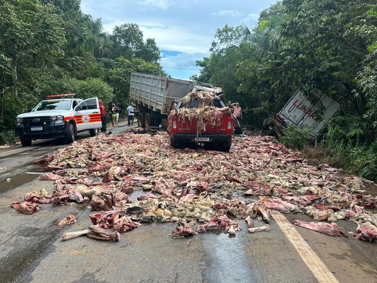 Acidente entre caminhões e carros deixa vários feridos e espalha carregamento de carne na BR-010 no Tocantins