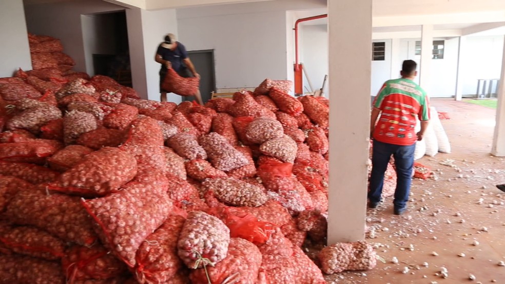 Carga de alho passou por análise e foi doada — Foto: Reprodução/RPC