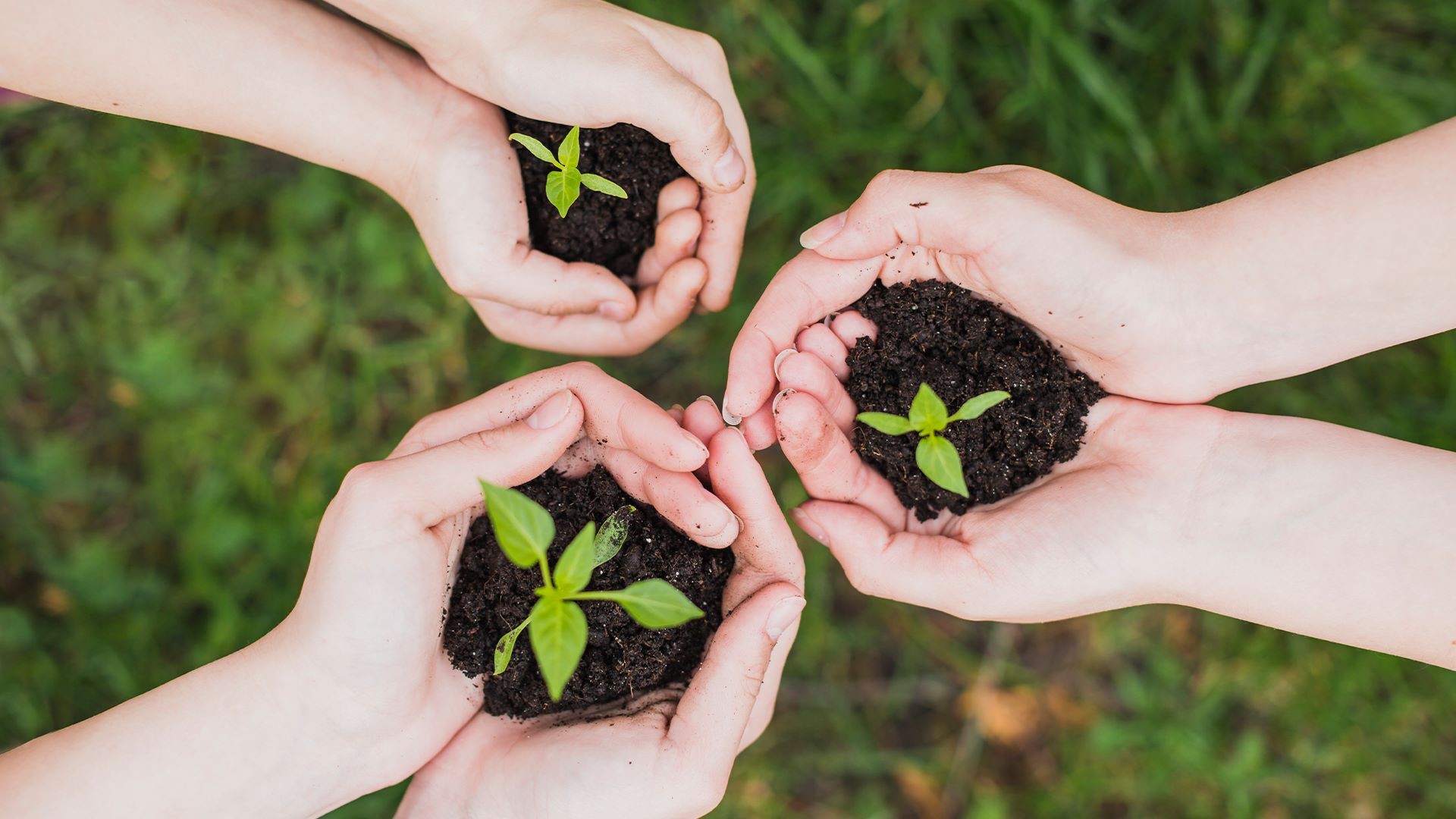Evento 'Investe Roraima 2030' apresenta potencial econômico do estado