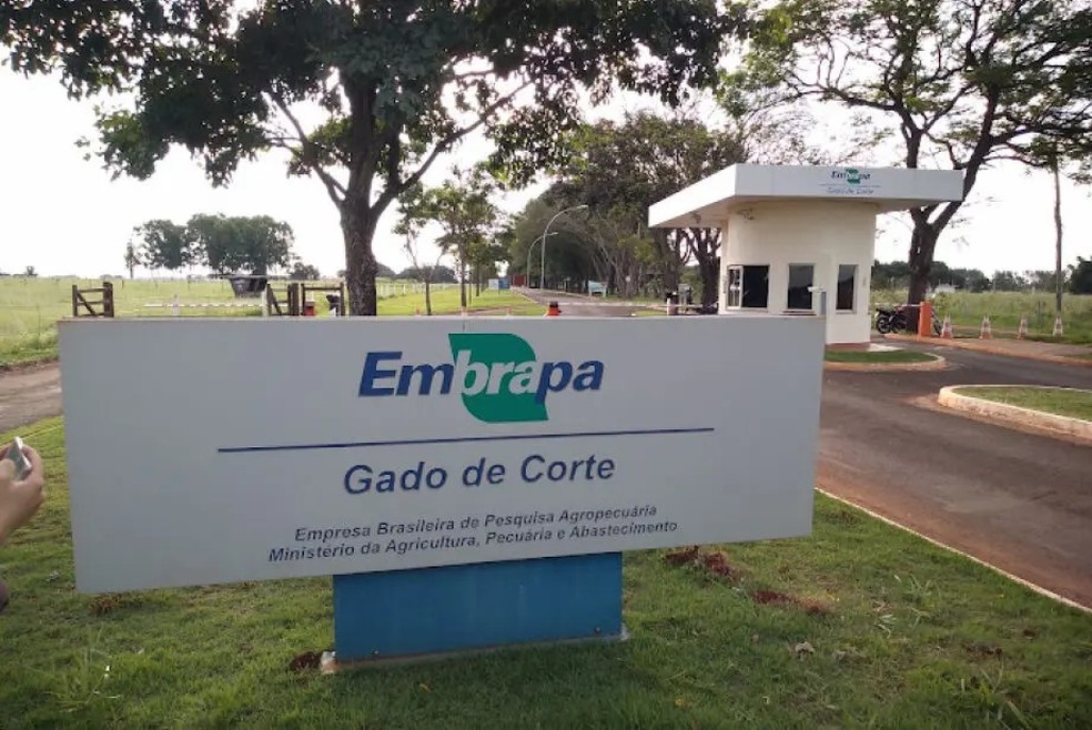Embrapa Gado de Corte. — Foto: Divulgação