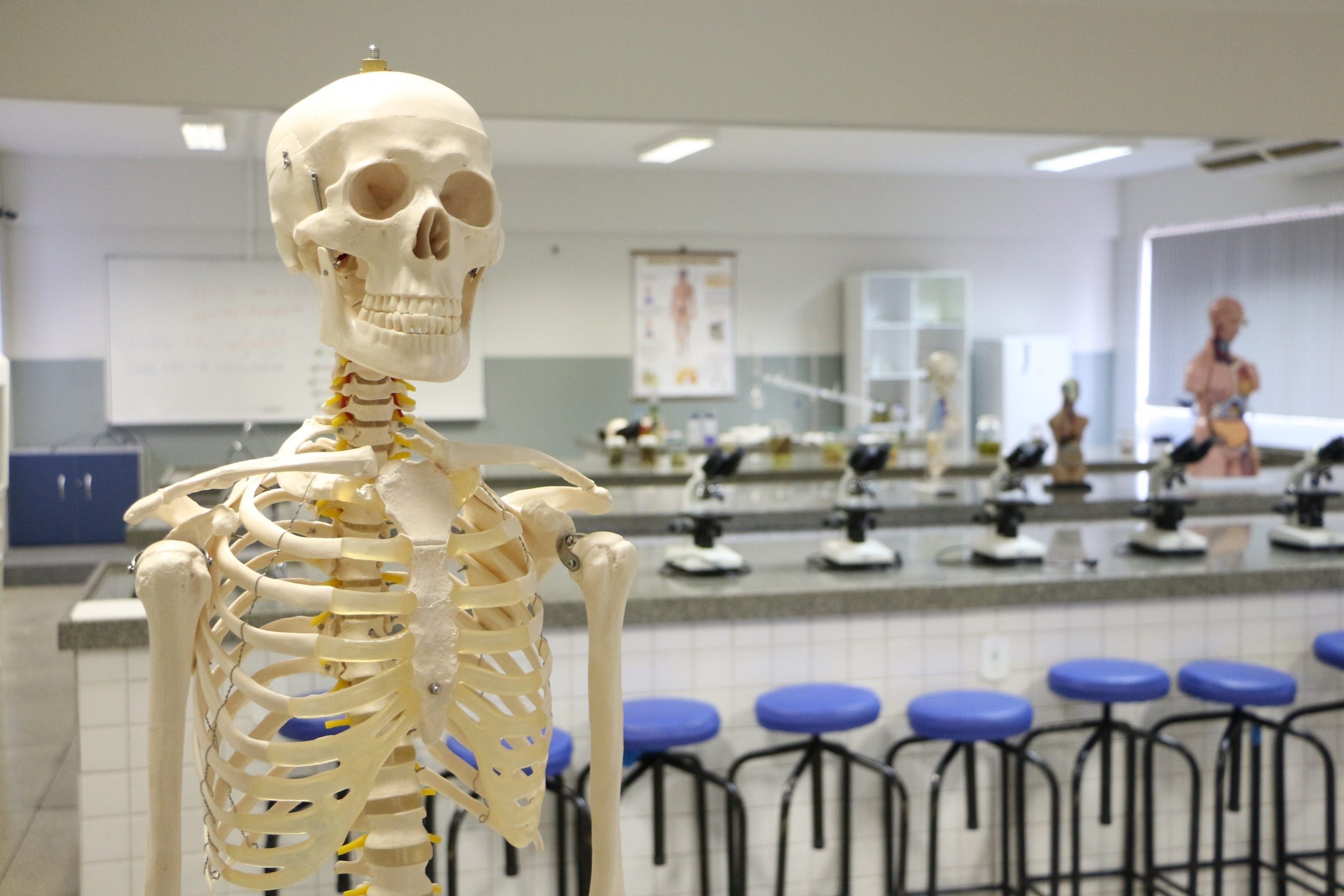 Instituto abre inscrições para estudantes do Ensino Médio que querem aprofundar estudos em ciências; veja como participar