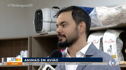 Veterinário explica como funciona a avaliação clínica para animais viajarem em aviões