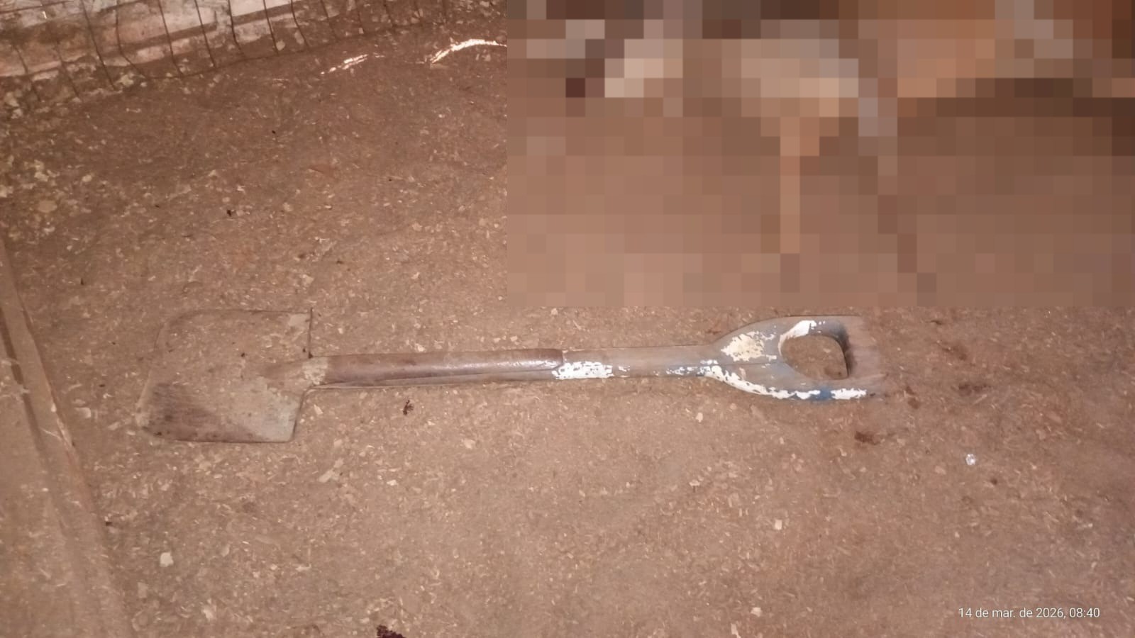 Homem invade zoológico e mata veado no RS