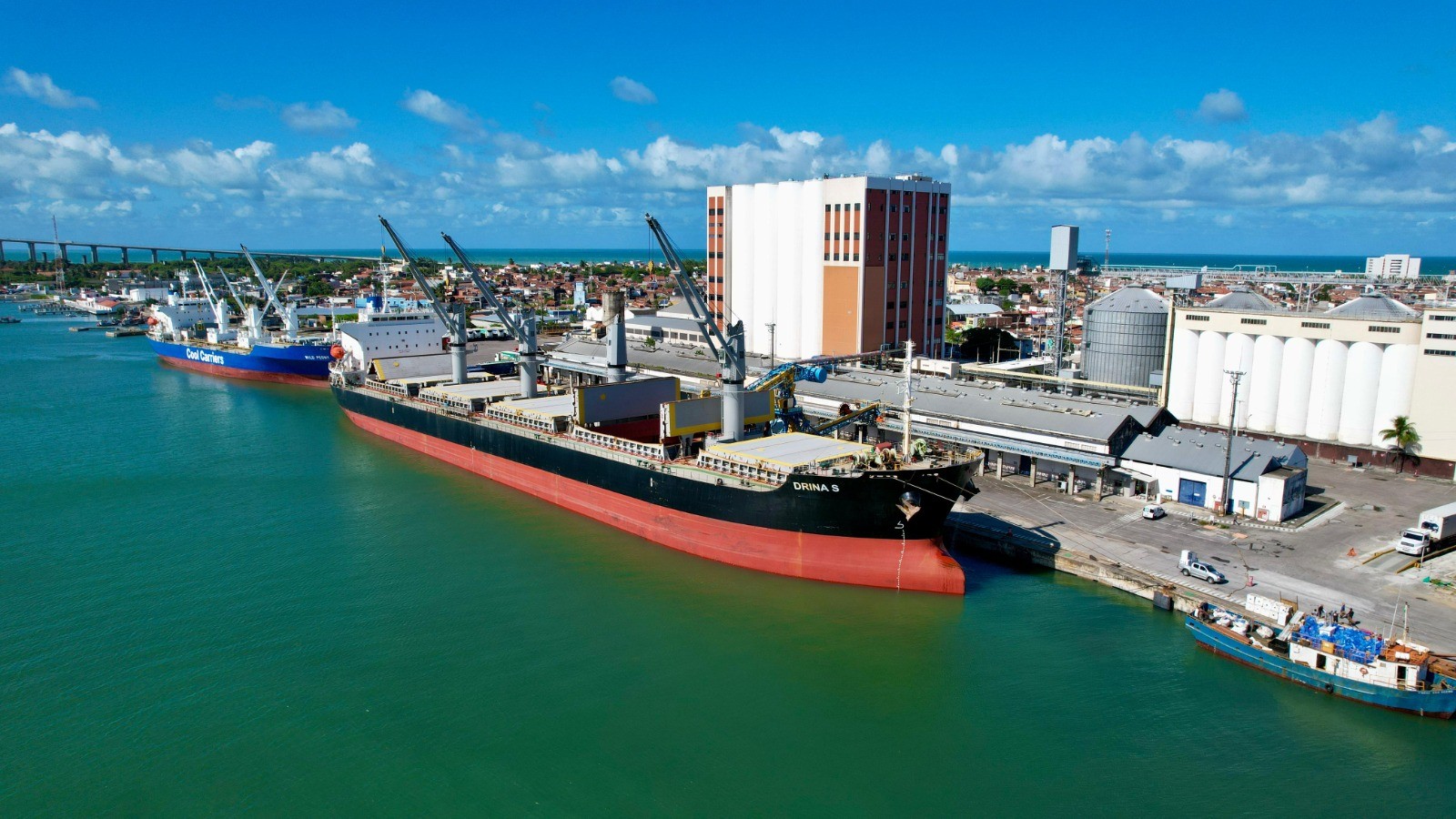 Porto de Natal é autorizado a exportar animais vivos; primeira carga será destinada ao Líbano