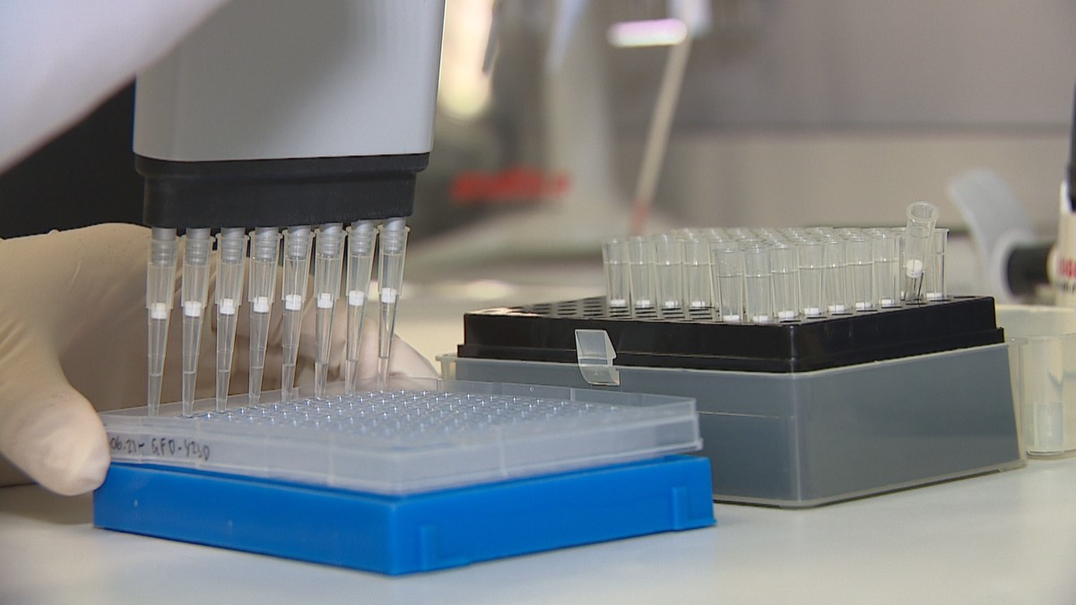 Il test del DNA scagiona un americano arrestato per stupro 47 anni fa |  mondo