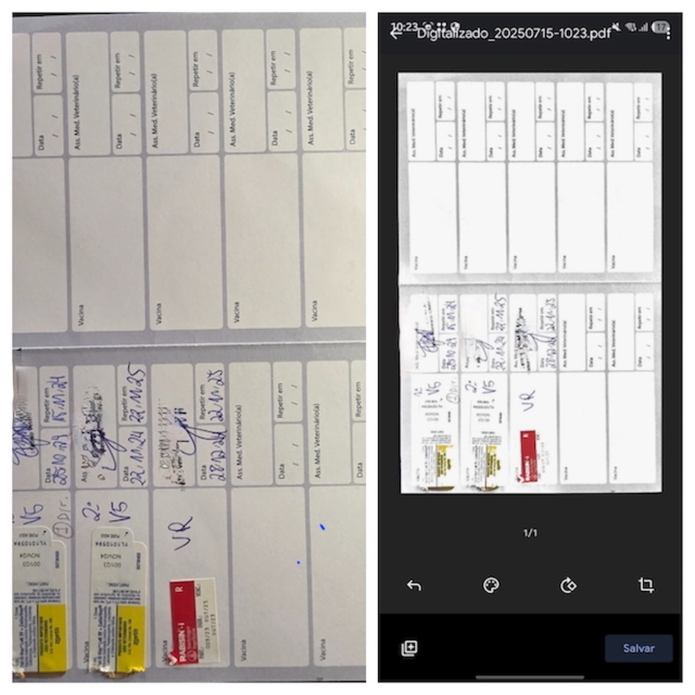Resultado da digitaliza��o no Google Drive � Foto: Reprodu��o