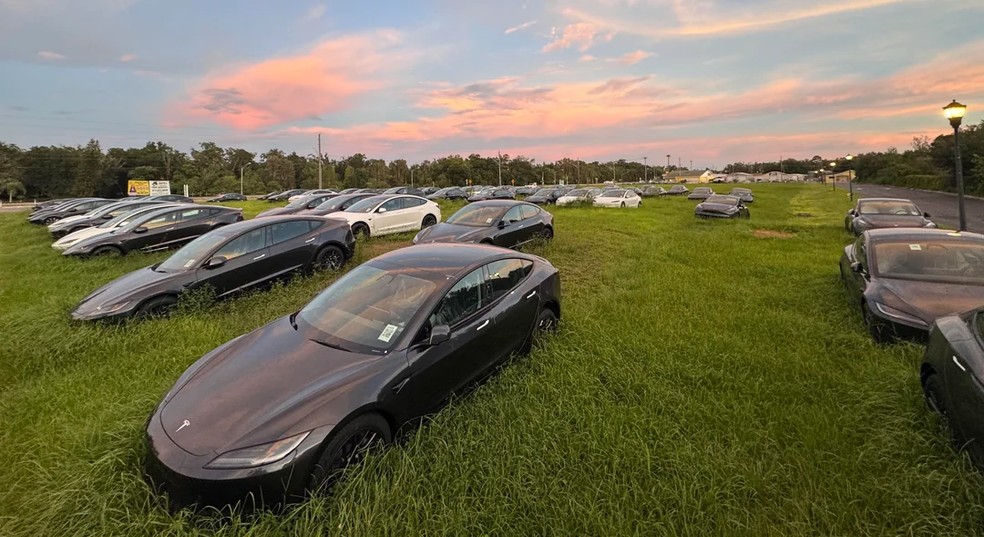 Carros da Tesla deixados em um campo nos Estados Unidos — Foto: reproduo/Reddit