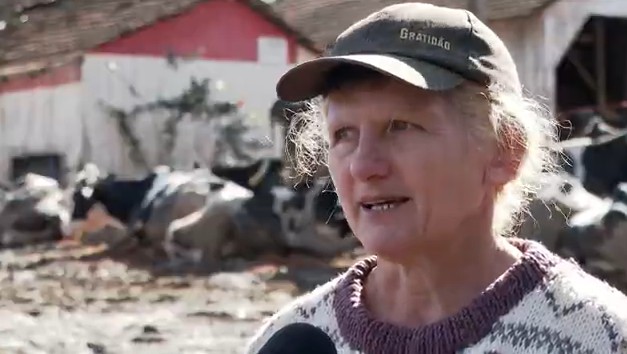 Criadora dá leite de vaca aos porcos para não perder produção após estragos das enchentes no RS