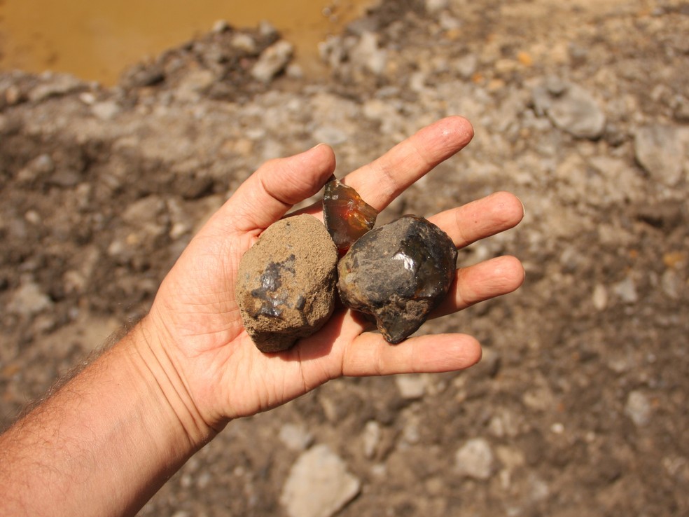 Vários pedaços de âmbar formados no subsolo, encontrados no nível G3 da Pedreira de Genoveva. Observe sua estrutura em formato de rim/bola. — Foto: Xavier Delclòs/Nature