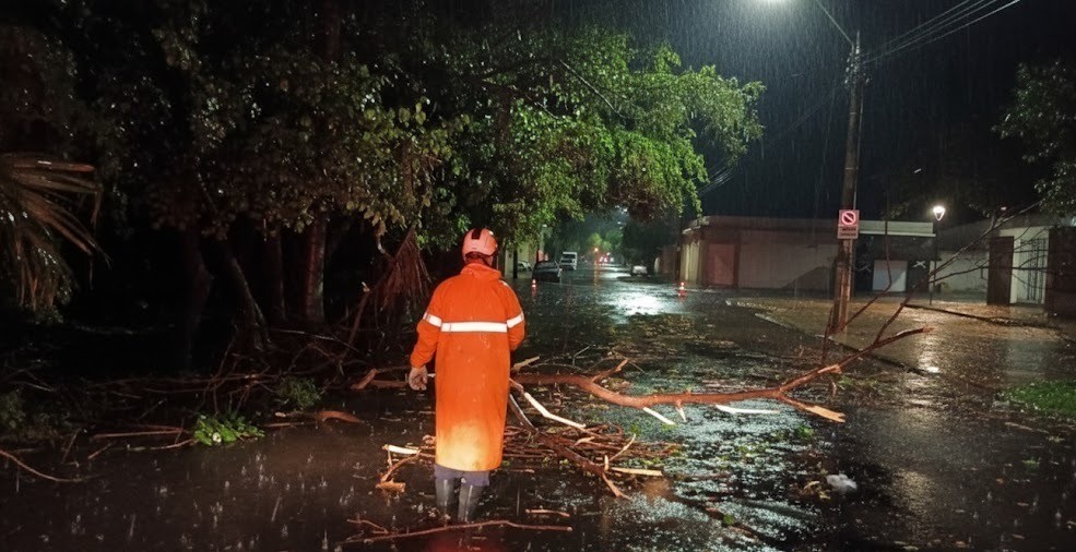 Temporal em Araçatuba derruba árvore em alambrado de UBS; 12 ocorrências foram atendidas