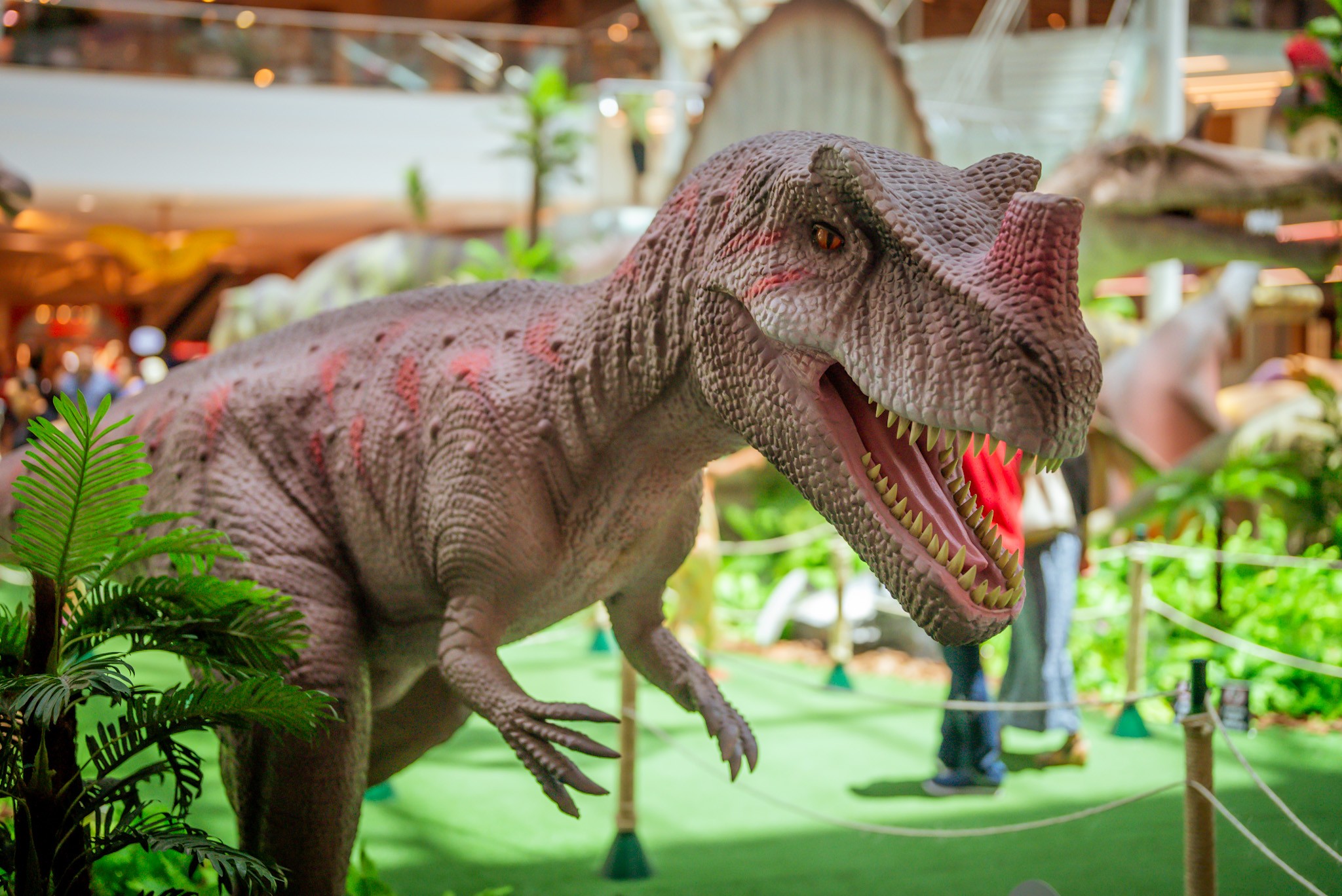 Maior exposição sobre dinossauros em tamanho real da América Latina chega a Fortaleza