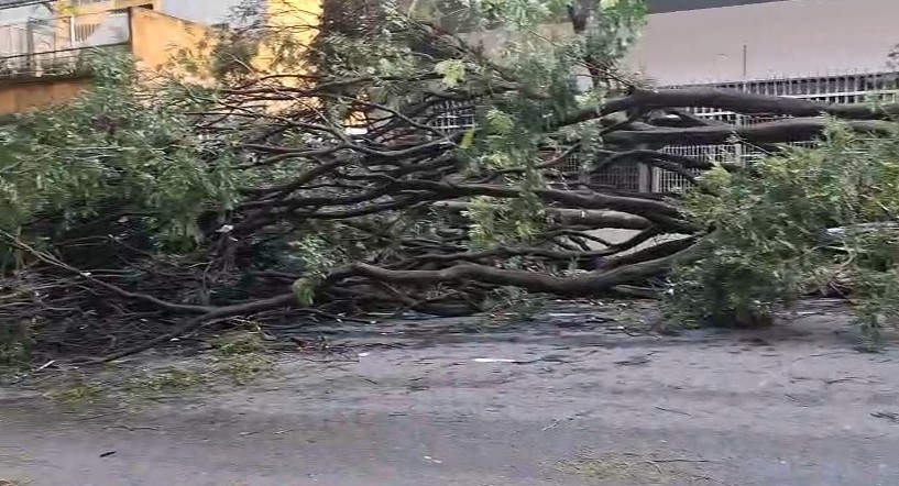 Mais de 24 horas depois do temporal que atingiu SP, milhares de imóveis seguem sem luz e árvores ainda bloqueiam vias