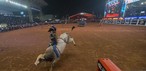 Rijproeven op het Americana Cowboy Festival