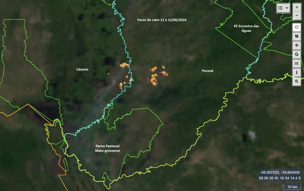 as enormes perdas de biodiversidade causadas pelas queimadas, afetam tanto a fauna quanto a flora — Foto: Inpe