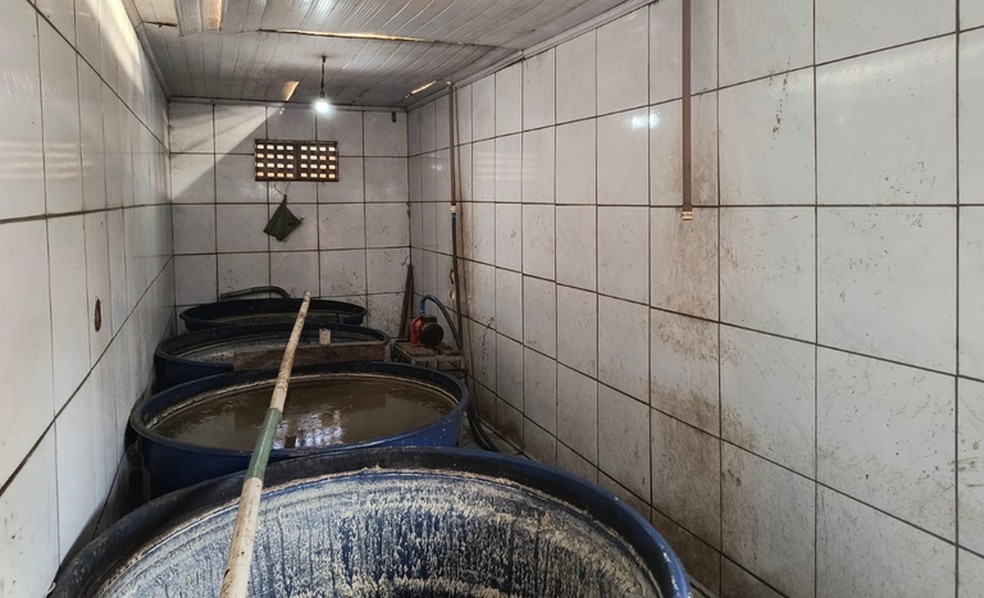 Fiscalização foi voltada para estabelecimentos suspeitos de produzir bebidas sem registro no ministério ou de comercializar produtos falsificados. — Foto: Divulgação/MAPA