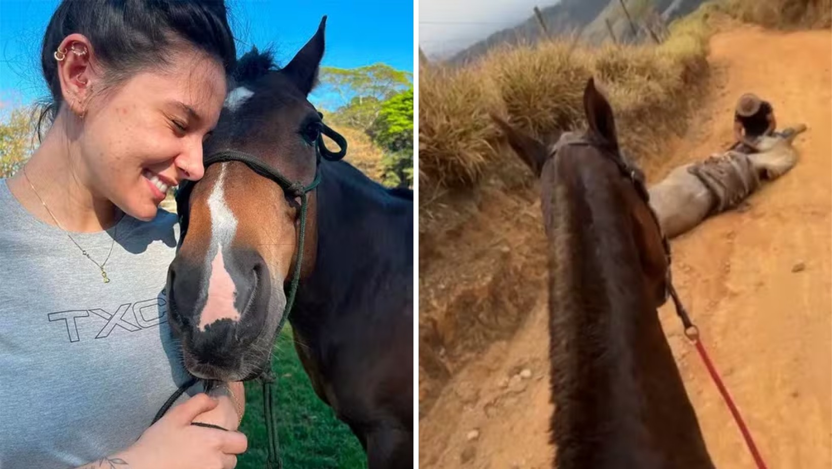 Ana Castela é condenada por chamar homem de ‘criminoso’ em caso de cavalo que foi mutilado vivo com facão no interior de SP