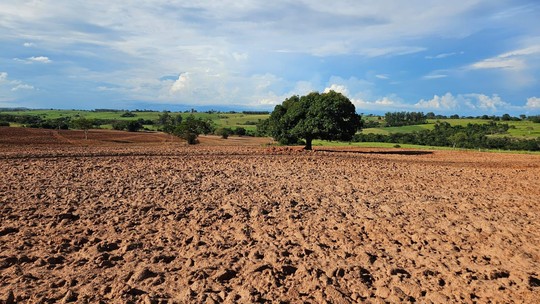 Sitiante é multado em R$ 26,7 mil por ter suprimido 89 árvores nativas - Foto: (Polícia Ambiental)