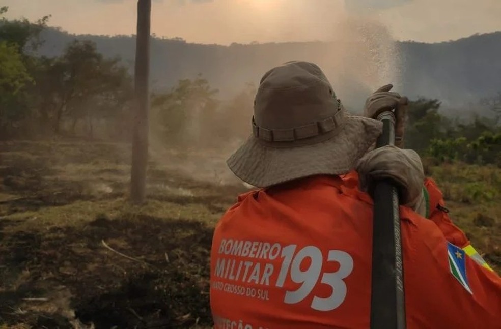 Bombeiros seguem em áreas do bioma para realizar rescaldo. — Foto: CBMMS/Reprodução