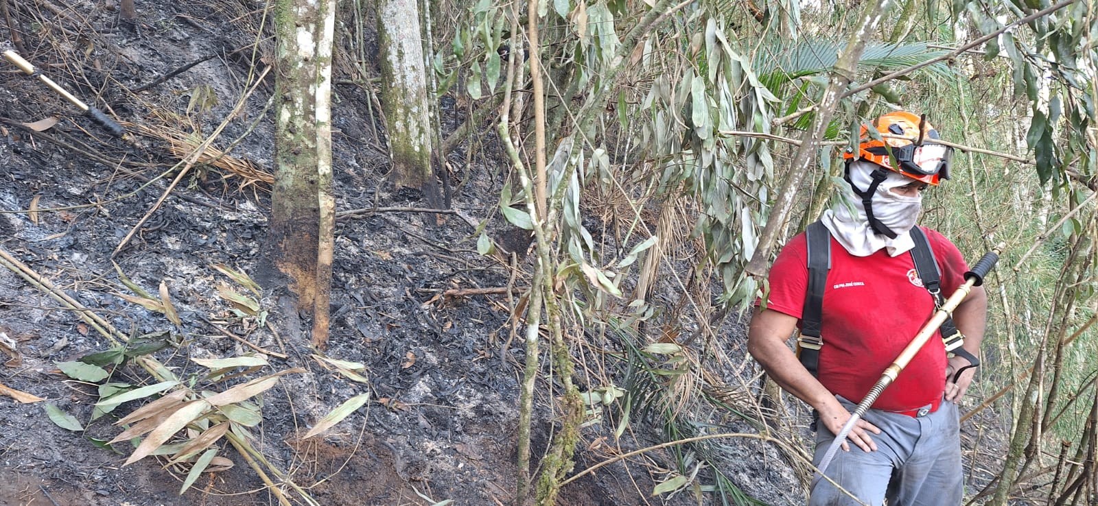 Incêndio atinge área de vegetação no distrito de São Francisco Xavier, em São José dos Campos