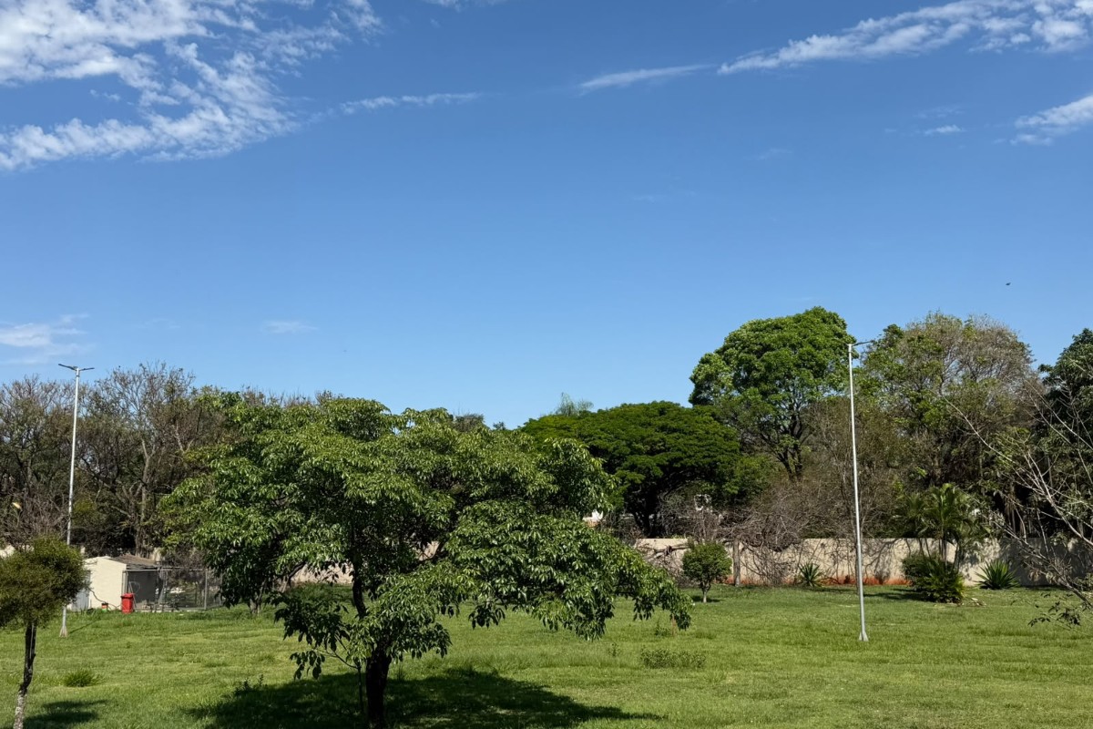 MS terá calor de 39°C e risco de temporais neste fim de semana; veja a previsão