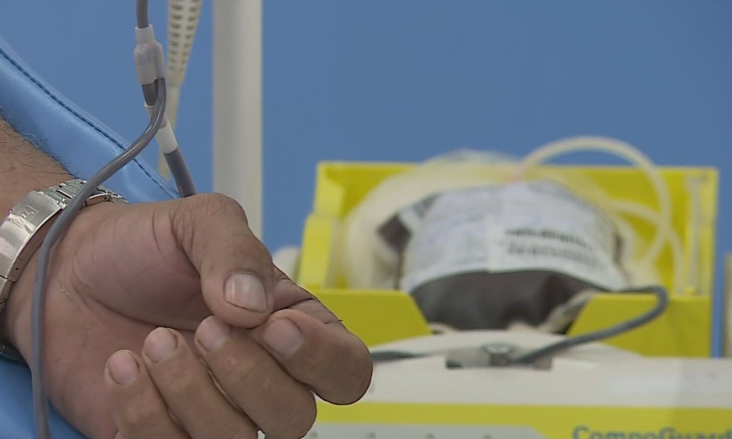 Campanha de doação de sangue para reforçar estoque do Hemope no carnaval tem coletas em várias cidades; veja programação