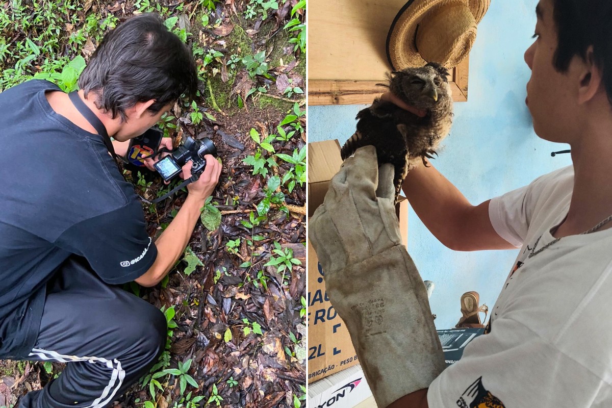 Jovem brasileiro vira colunista em revista internacional: 'valor inimaginável'