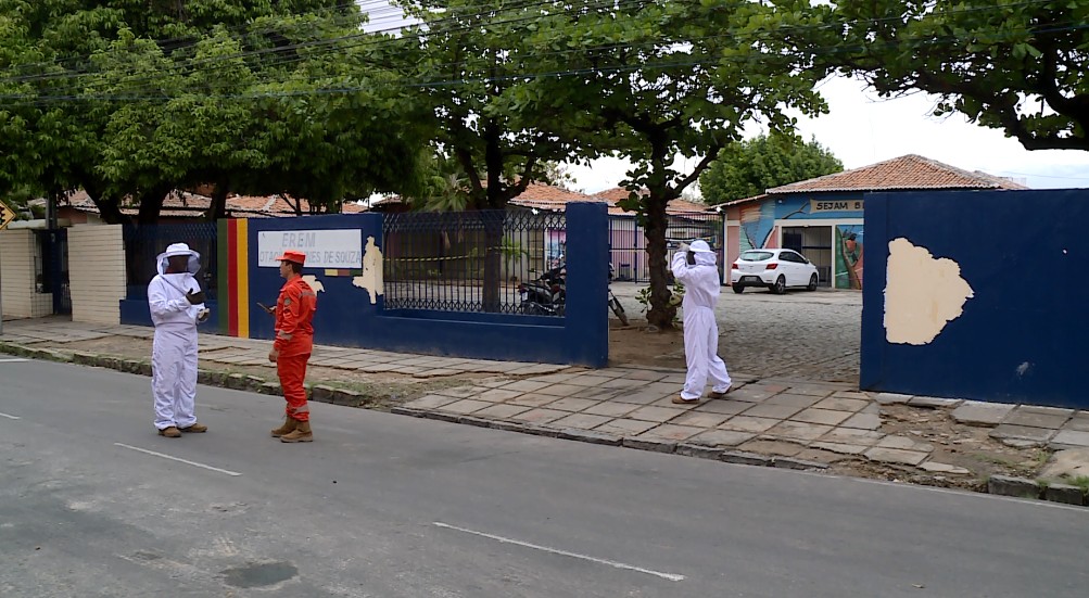 Enxame de abelhas assusta estudantes e funcionários de escola no bairro Areia Branca, em Petrolina