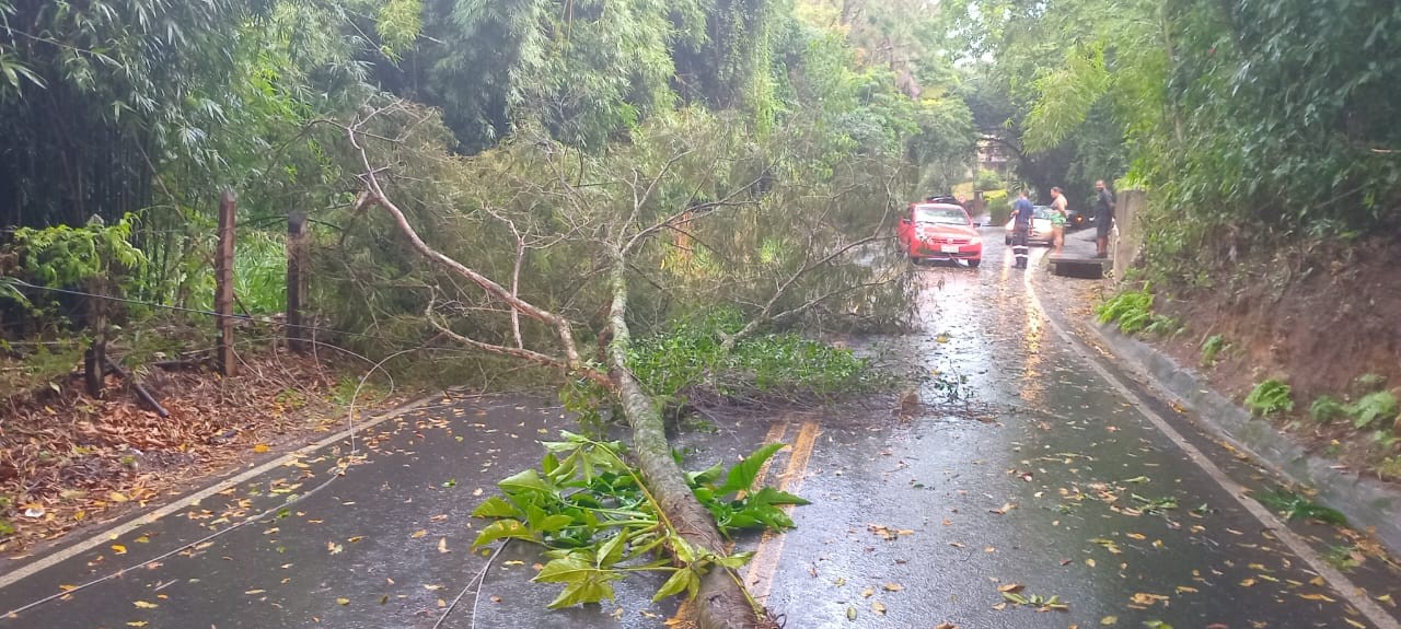 Estrada que liga Pindamonhangaba a Lagoinha é interditada após cabo energizado atingir carro durante temporal