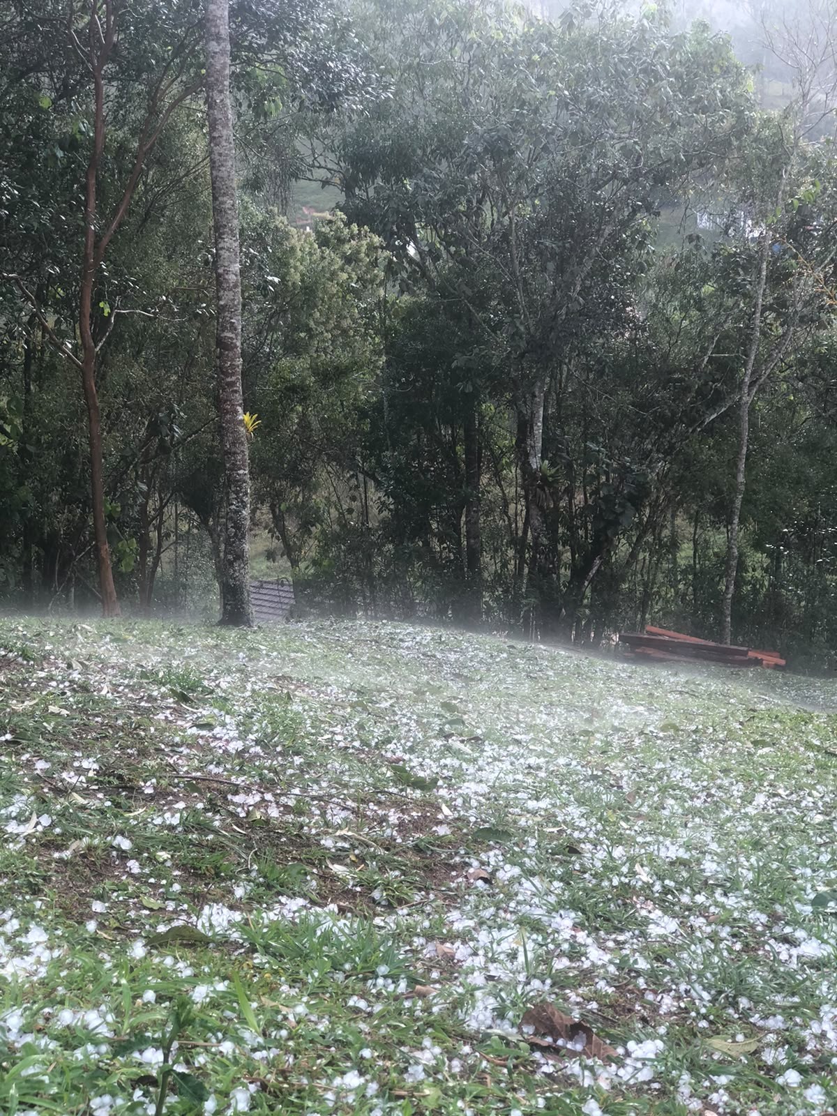 VÍDEO: Chuva de granizo cria 'tapete de gelo' no interior do RJ