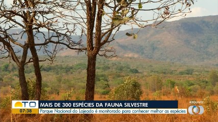 Mais de 300 espécies da fauna silvestre são monitoradas no Parque nacional do Lajeado