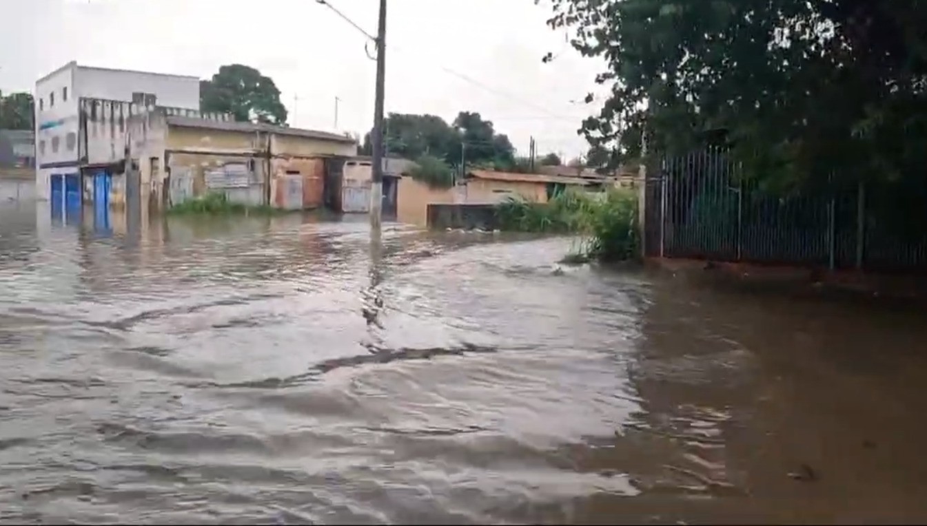 Chuva interdita casa em área de risco e derruba 15 árvores, em Jacareí