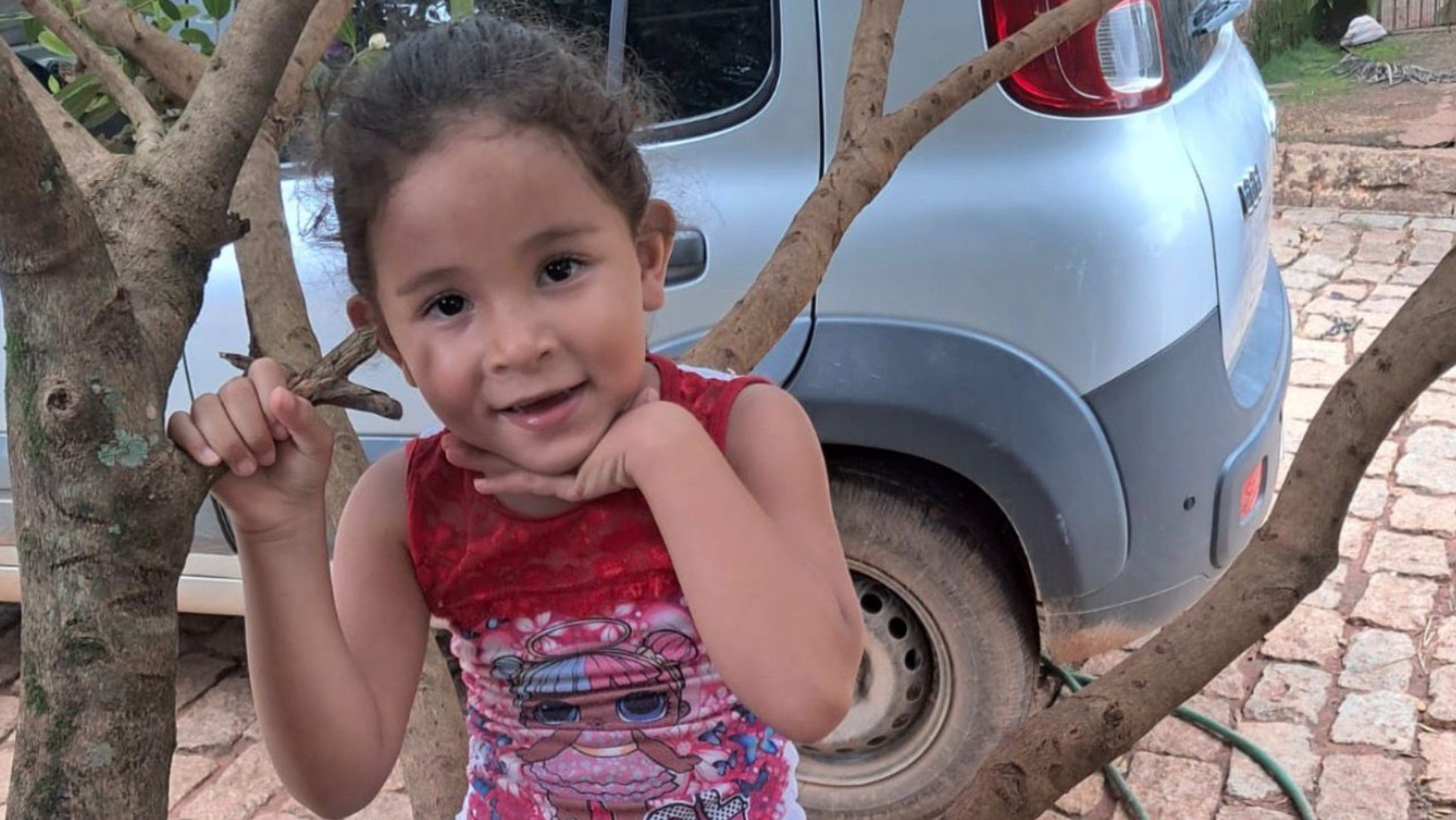 Menina de 4 anos morre após ser picada por escorpião no interior de SP