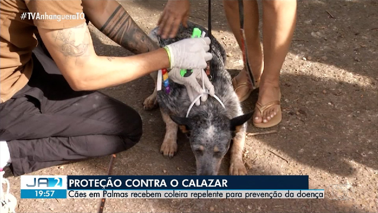 Você Não Tá Convidada pro Meu Bat Mitzvá!