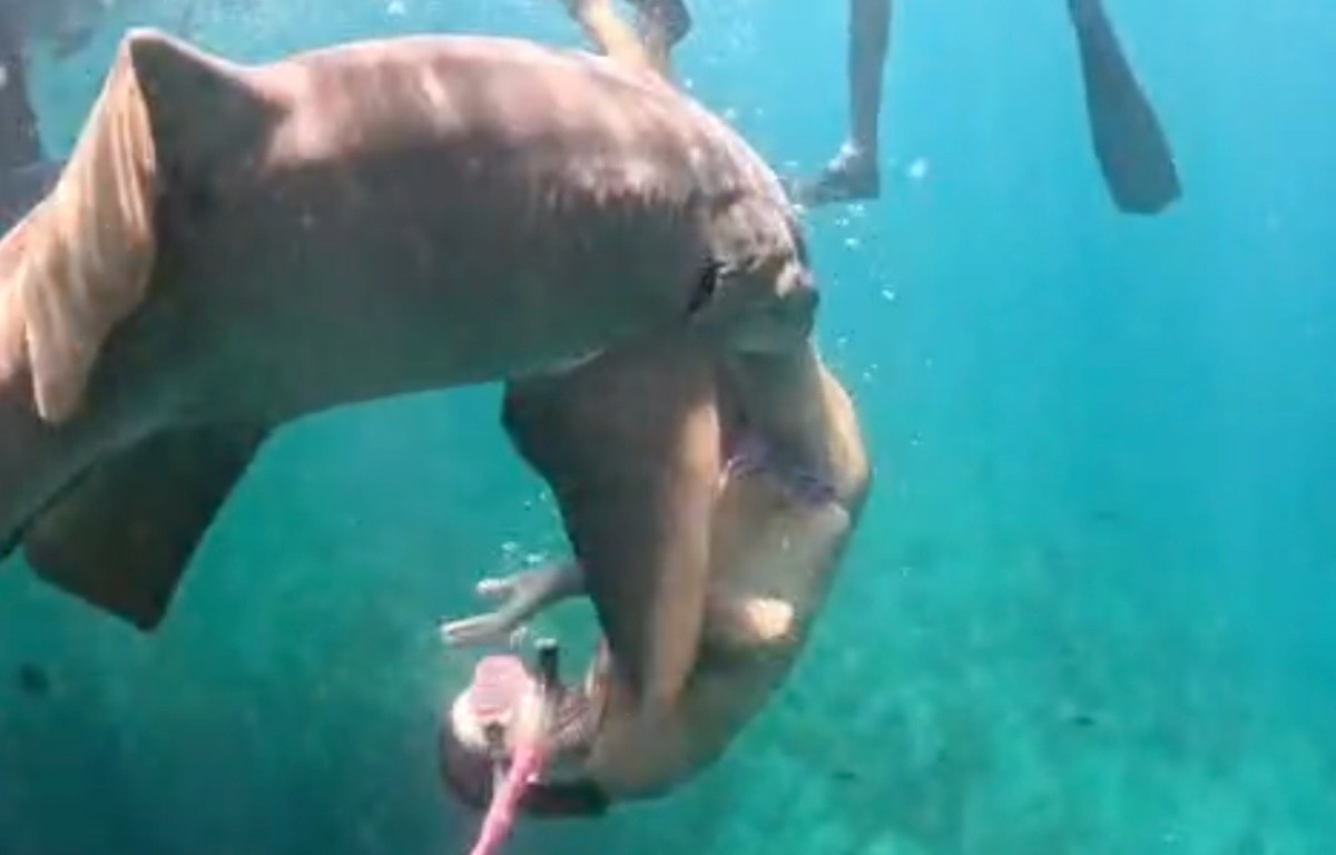 Vídeo mostra novo ângulo de mordida de tubarão a turista em Fernando de Noronha