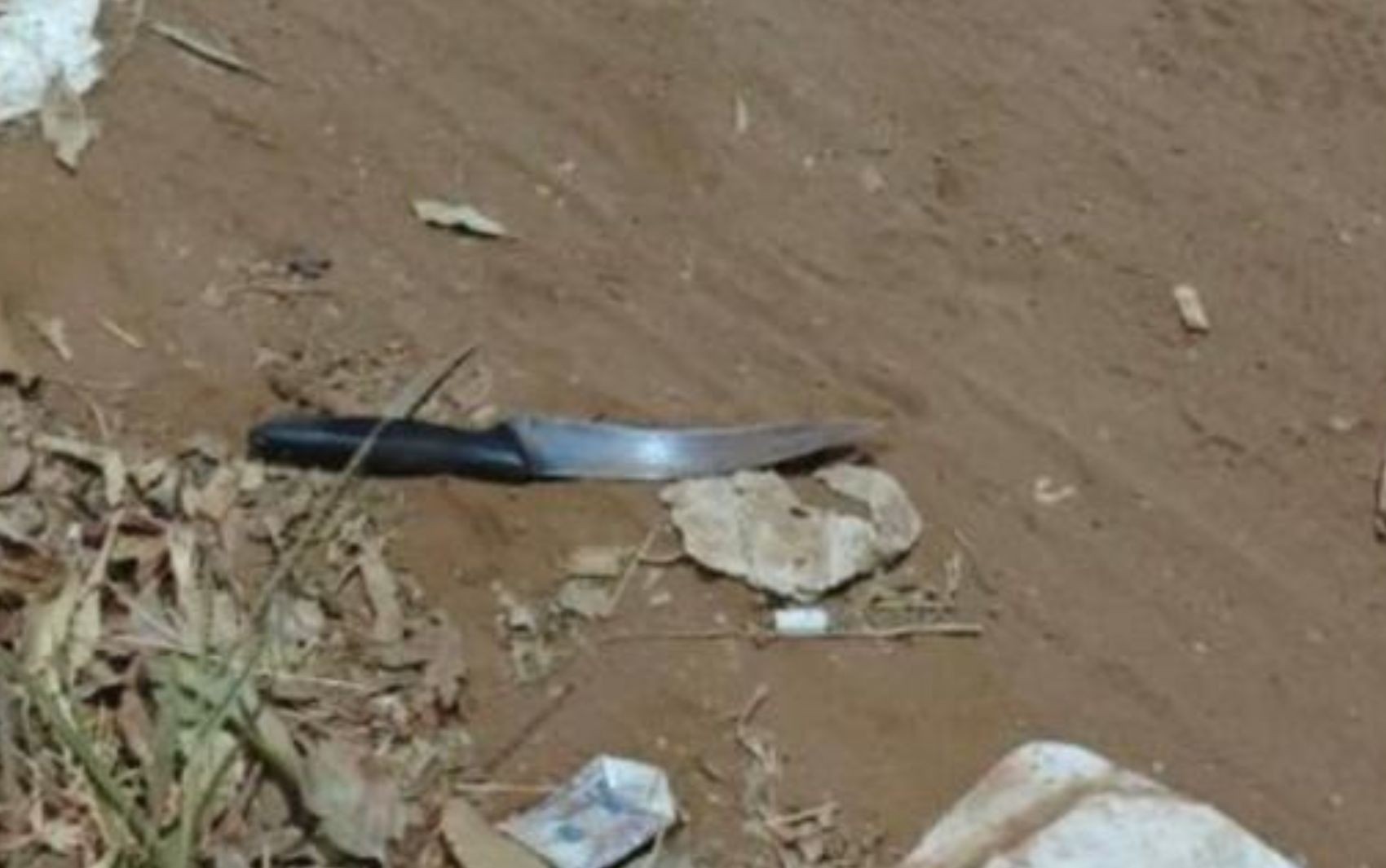 Mulher é presa suspeita de matar homem que teria roubado o cachorro dela