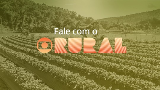 Programa Globo Rural
