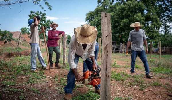 Fim do conflito com o gado? Inovação reduz prejuízo e salva onças — Foto: Fábio Fernandes Texeira / Instituto Impacto