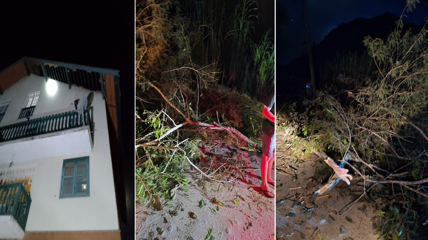 Ventania causa queda de árvores e destelha casa em Nova Friburgo