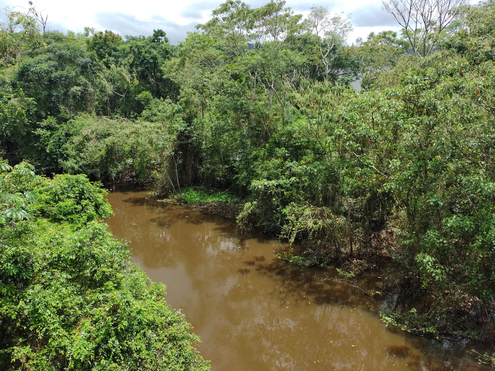 Relatório da SOS Mata Atlântica aponta piora na qualidade da água do Rio Tietê em Mogi das Cruzes